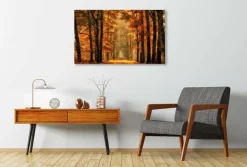 Wandkraft Art of Nature 033 - Limited edition Clearance