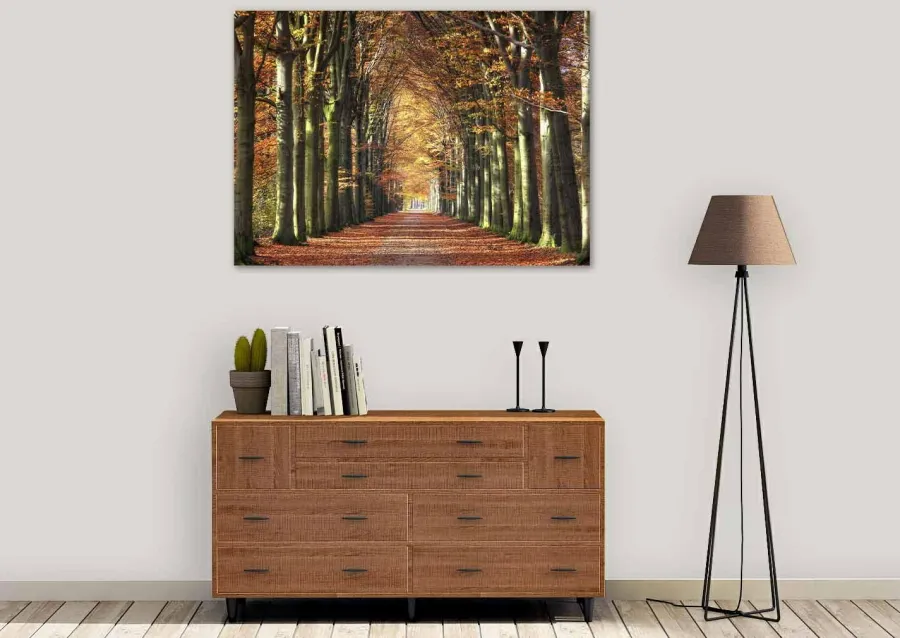 Wandkraft Autumn Clearance