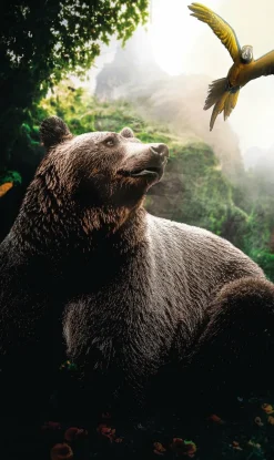 Wandkraft Bear Clearance