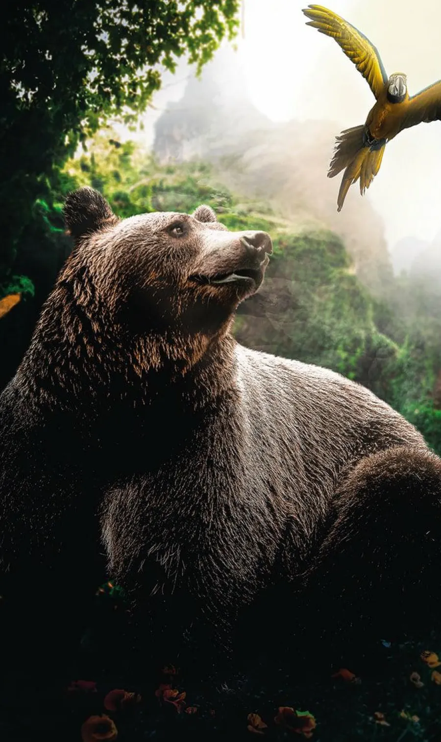 Wandkraft Bear Clearance