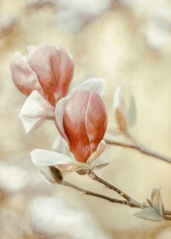 Wandkraft Blooming Hearts Clearance