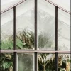 Wandkraft Botanical Stories 012 Sale