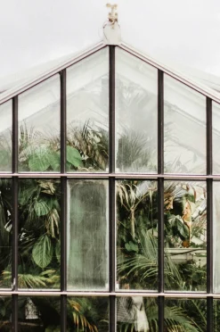 Wandkraft Botanical Stories 012 Sale