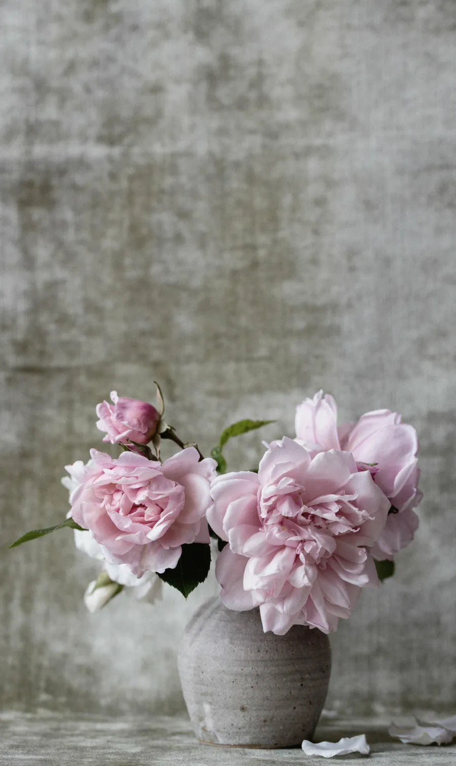 Wandkraft Botanical Stories 006 New