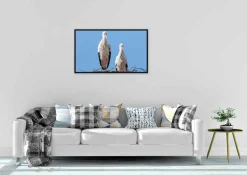 Wandkraft Bright Wings 022 Discount