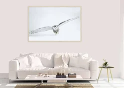 Wandkraft Bright Wings 008 Hot