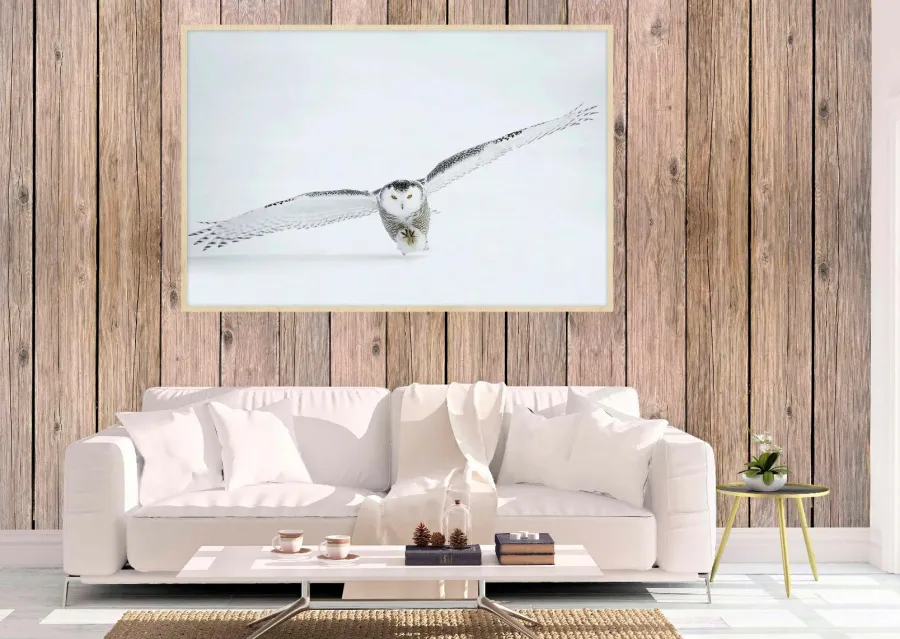 Wandkraft Bright Wings 008 Hot