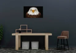 Wandkraft Bright Wings 015 Online