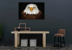 Wandkraft Bright Wings 015 Online