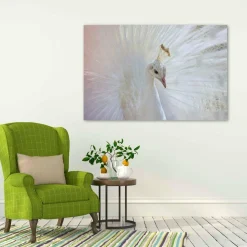 Wandkraft Bright Wings 031 Outlet