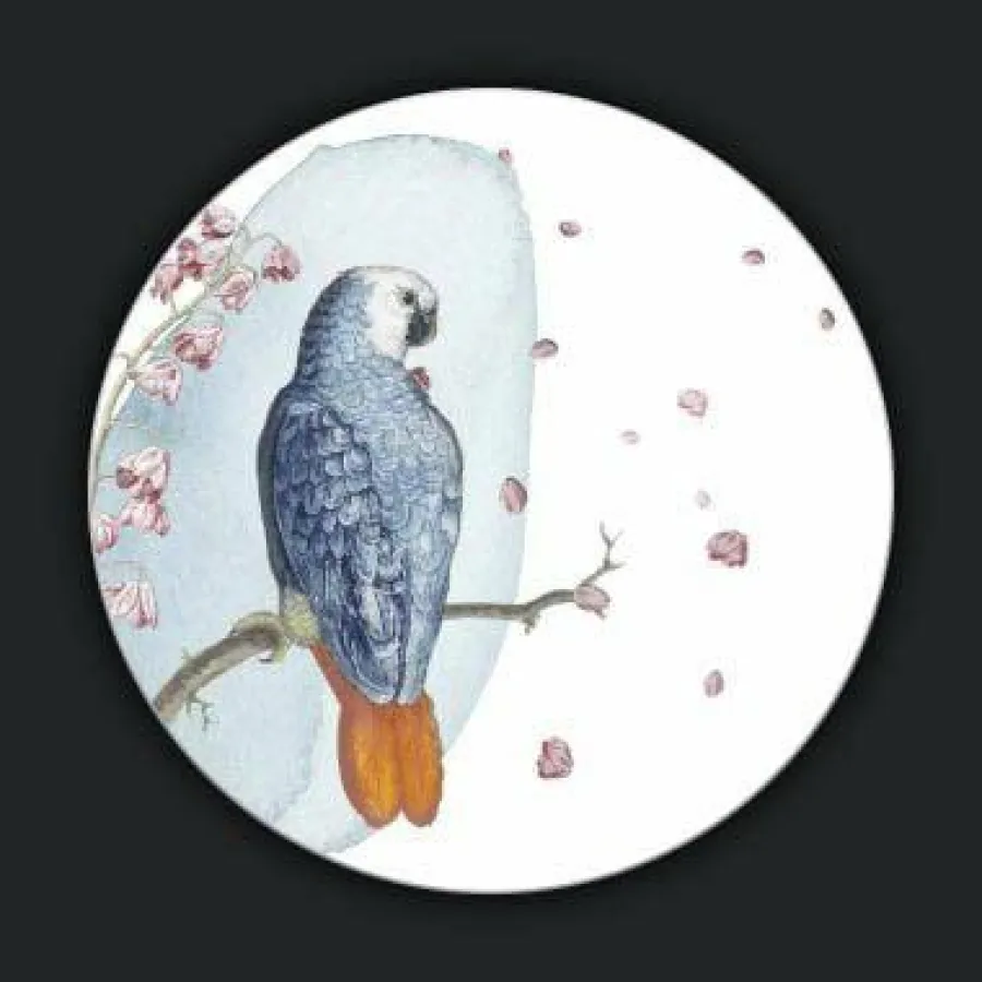 Wandkraft Bright Wings 026 - rond Outlet