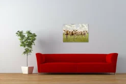 Wandkraft Curious Cows Online