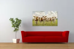 Wandkraft Curious Cows Online