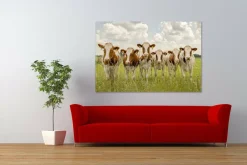 Wandkraft Curious Cows Online