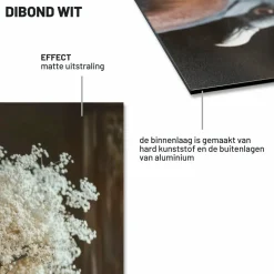 Wandkraft Ethereal Flow Outlet