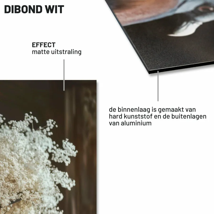Wandkraft Ethereal Flow Outlet