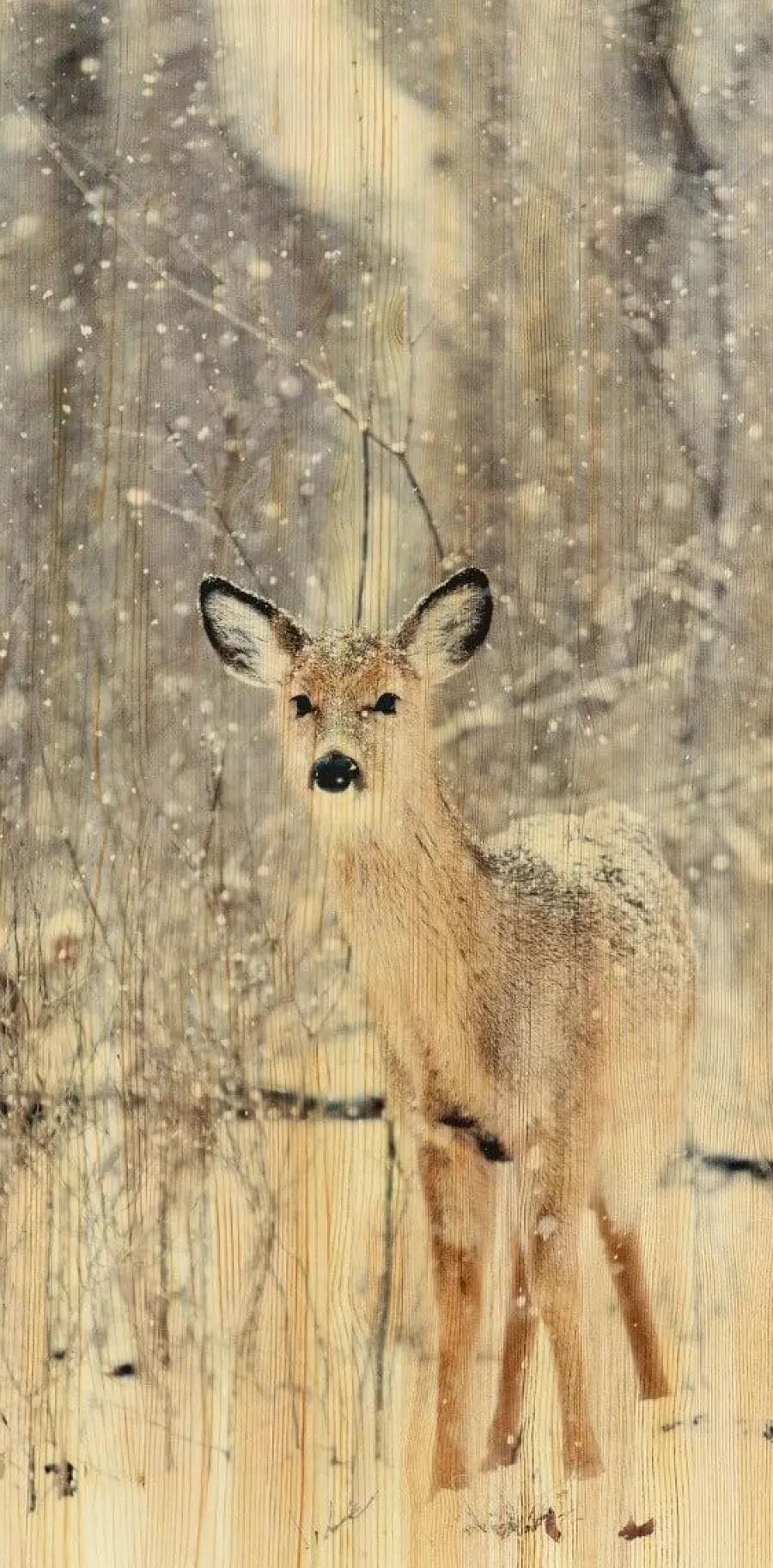 Wandkraft European Wildlife 007 Best