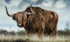 Wandkraft European Wildlife 009 Online