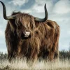 Wandkraft European Wildlife 008 New