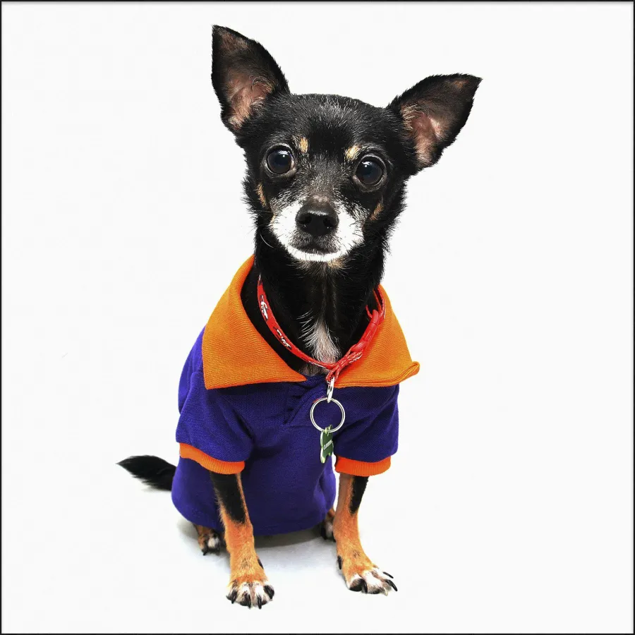 Wandkraft Faces 021 Discount