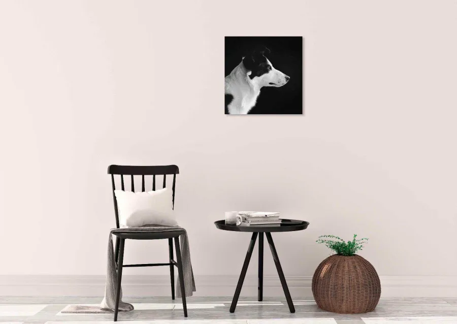 Wandkraft Faces 005 Outlet