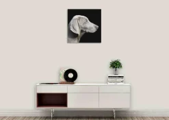Wandkraft Faces 011 Online
