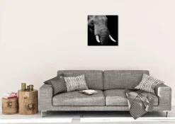 Wandkraft Faces 023 - Faces 74 x 74 cm