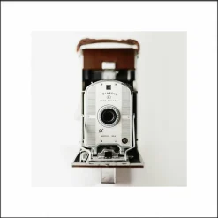 Wandkraft Heritage 003 Discount