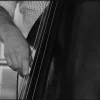 Wandkraft Music 004 Clearance