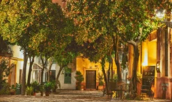 Wandkraft Night in Sevilla Clearance