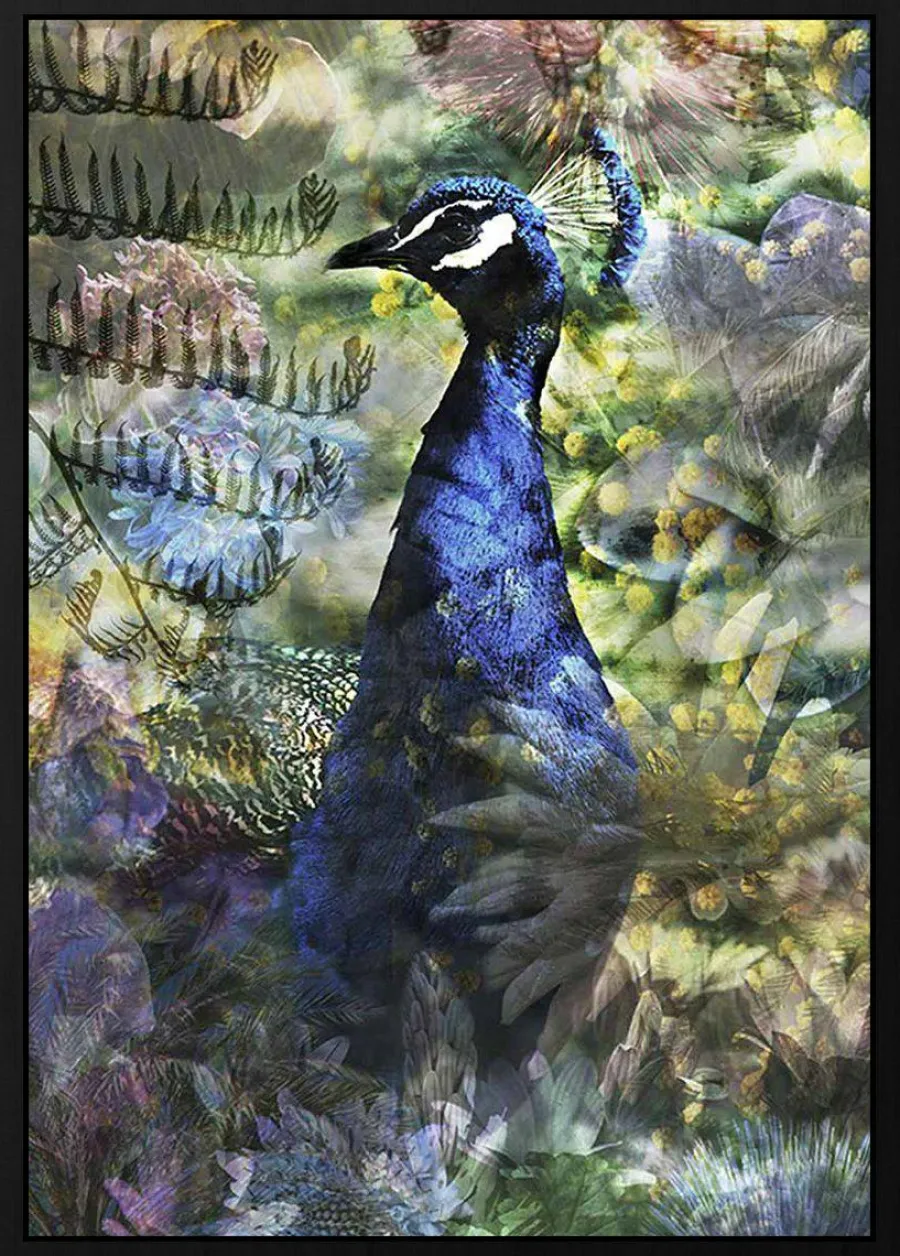 Wandkraft Proud Peacock Hot