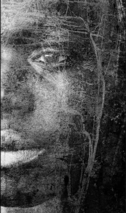 Wandkraft Reminiscence New