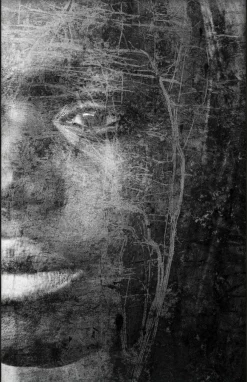 Wandkraft Reminiscence New