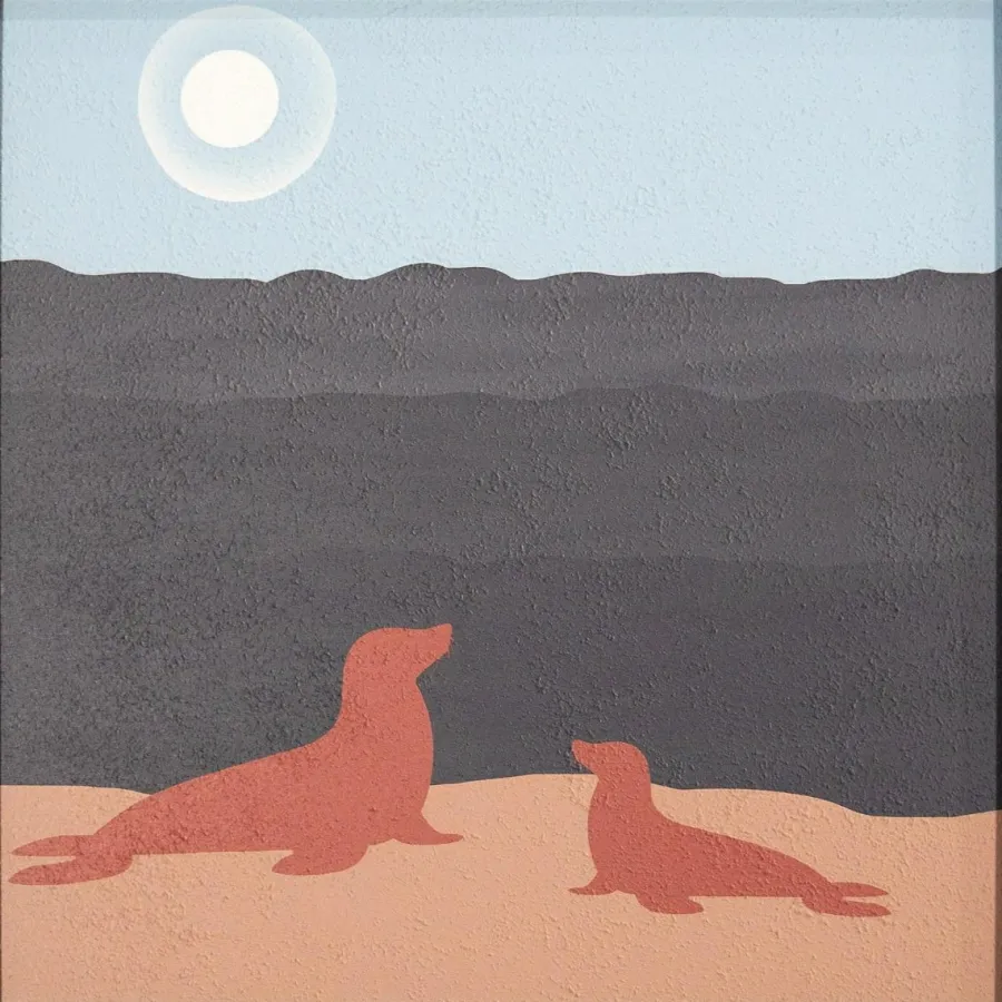 Wandkraft Seals by the Ocean Outlet
