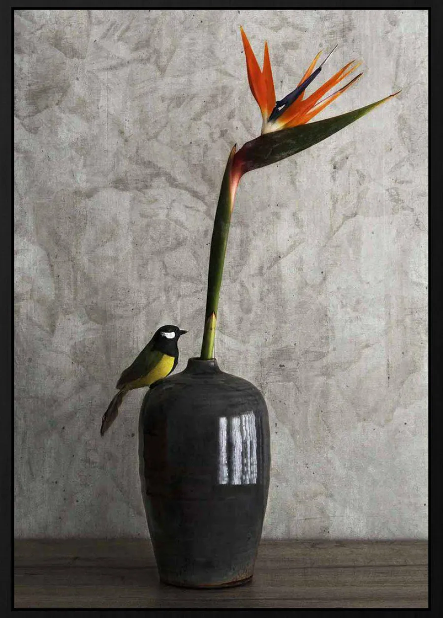 Wandkraft Still Life Bird Discount