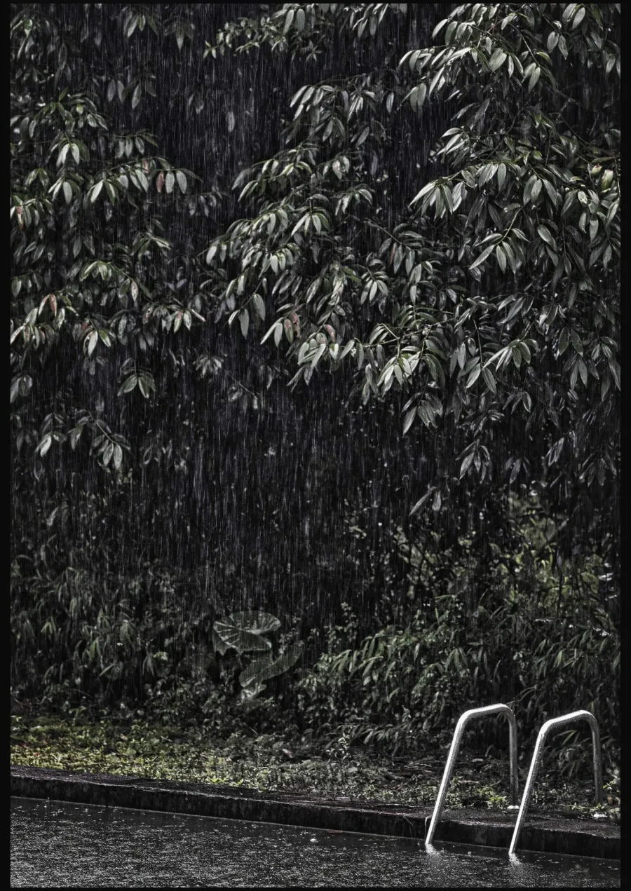Wandkraft Swimming Pool in Rainforest