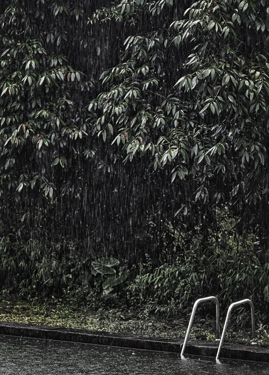 Wandkraft Swimming Pool in Rainforest