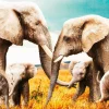Wandkraft The Elephant Family Discount