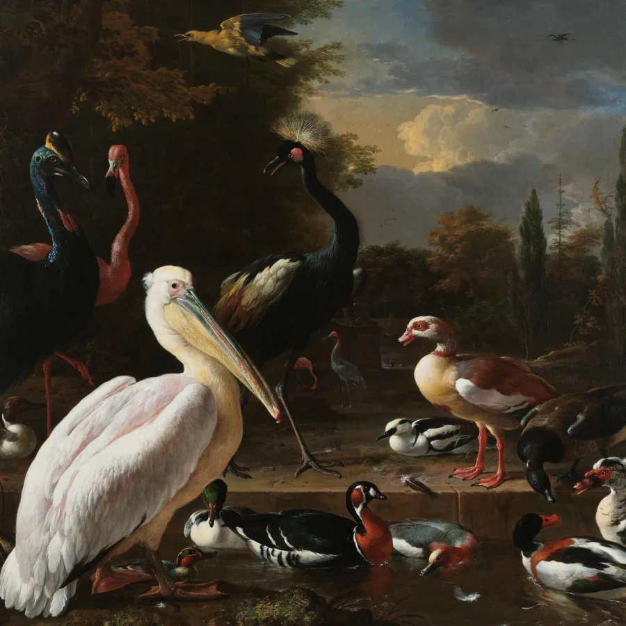 Wandkraft The floating feather by Melchior d'Hondecoeter Hot