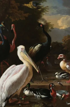 Wandkraft The floating feather by Melchior d'Hondecoeter Hot
