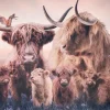 Wandkraft The Highlander Family Discount