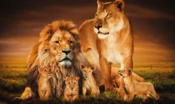 Wandkraft The Lion Family Outlet