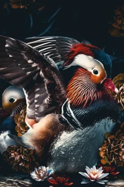 Wandkraft The Mandarin Ducks New