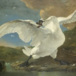 Wandkraft The Threatened Swan by Jan Asselijn Discount