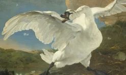 Wandkraft The Threatened Swan by Jan Asselijn Discount