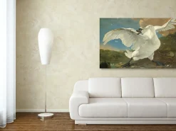 Wandkraft The Threatened Swan by Jan Asselijn Discount