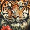 Wandkraft The Tiger Best