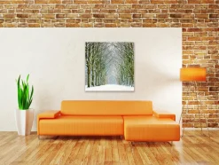 Wandkraft Tunnel of Trees Discount