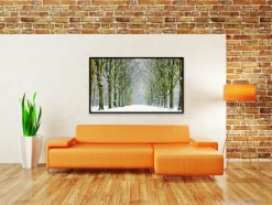 Wandkraft Tunnel of Trees Discount