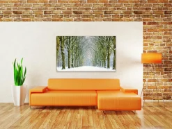 Wandkraft Tunnel of Trees Discount